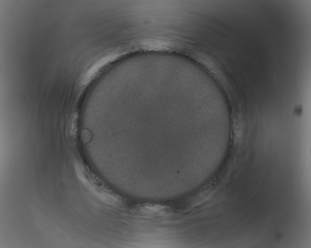 X0000116600583200912312059