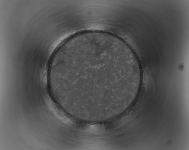 X0000116600584200912312059