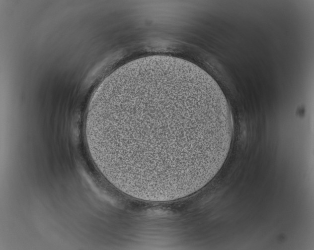 X0000116600586200912312059