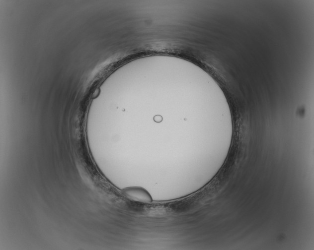 X0000116600587200912312059