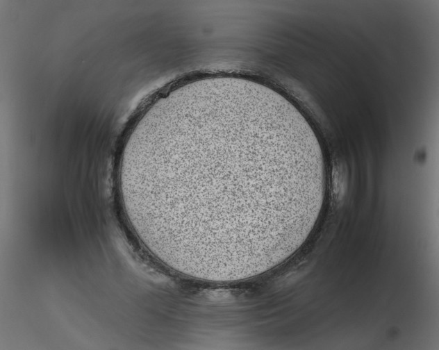 X0000116600588200912312059