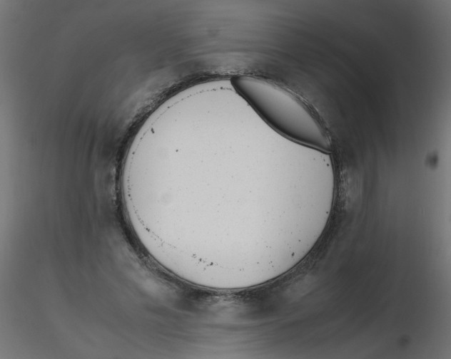 X0000116600589200912312059