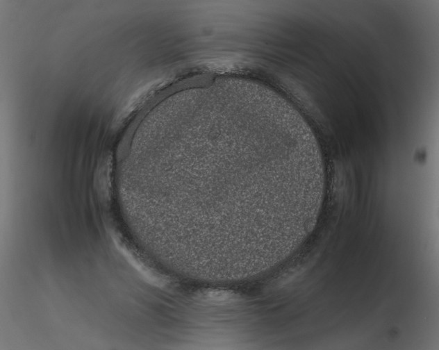 X0000116600590200912312059