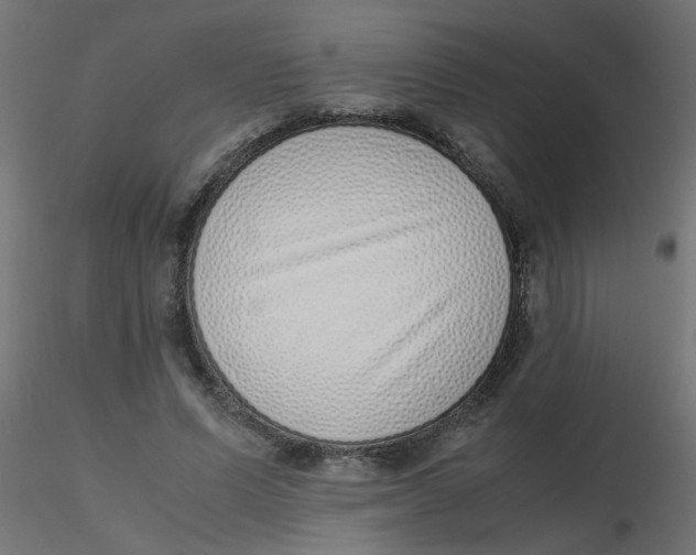 X0000116600591200912312059