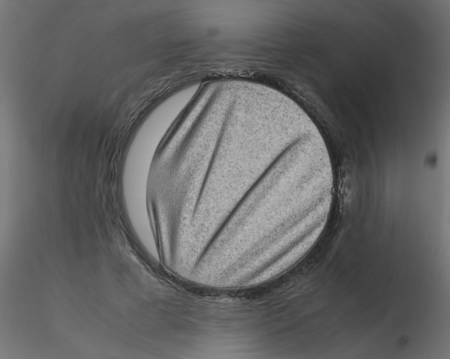 X0000116600593200912312058