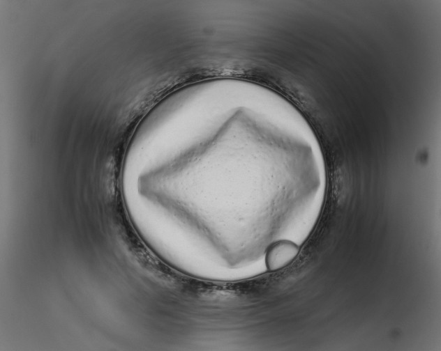 X0000116600594200912312058