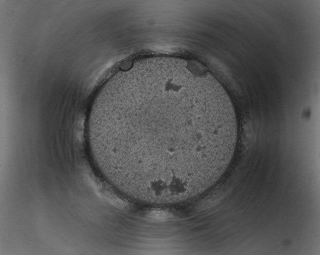 X0000116600596200912312058