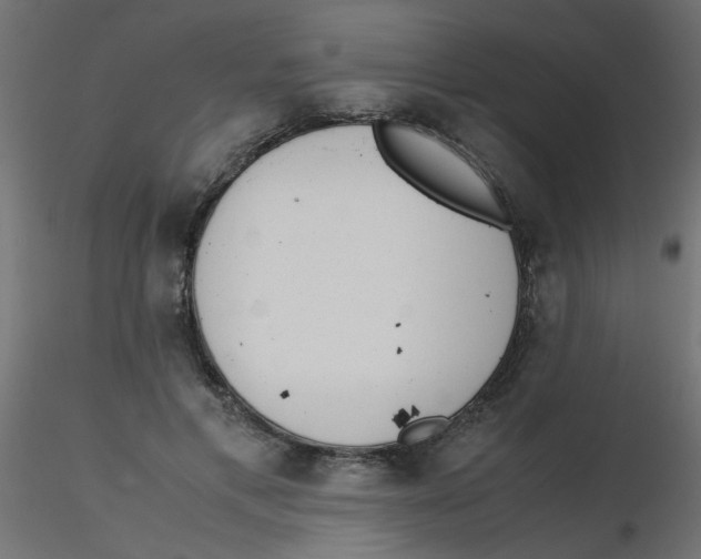 X0000116600597200912312058