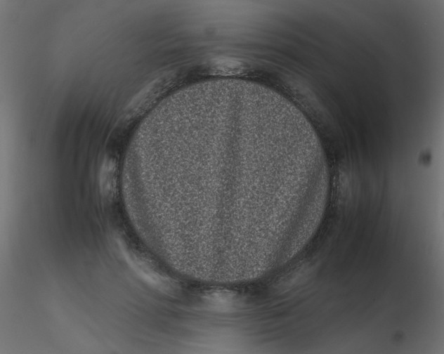 X0000116600598200912312058