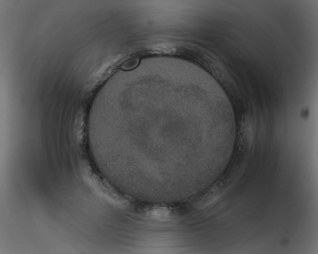 X0000116600600200912312058