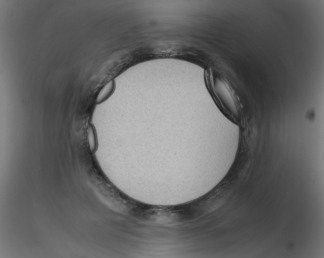 X0000116600601200912312058