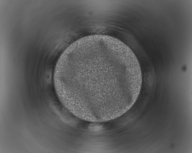 X0000116600602200912312058