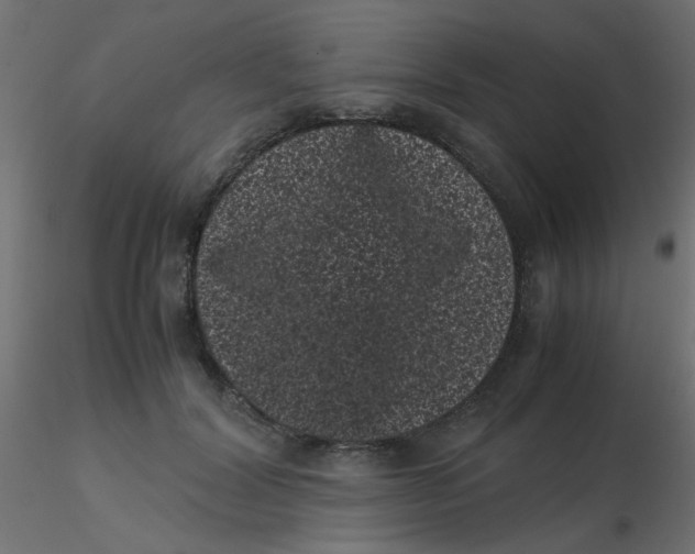 X0000116600604200912312058