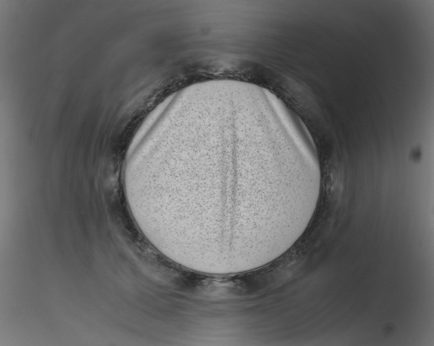 X0000116600607200912312058