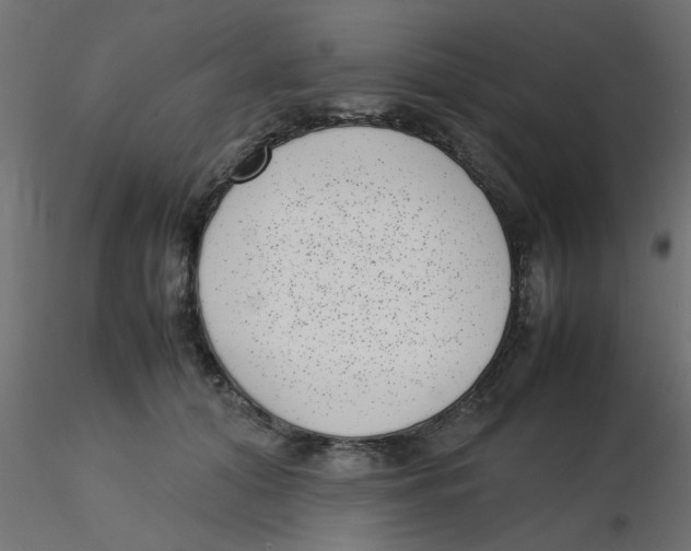 X0000116600608200912312058