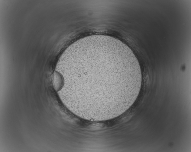 X0000116600609200912312058