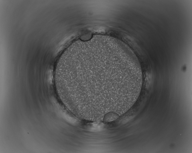 X0000116600612200912312058