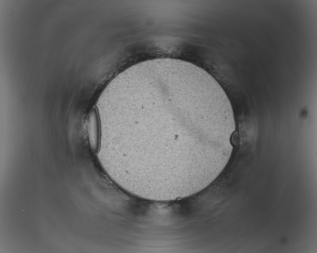 X0000116600613200912312058