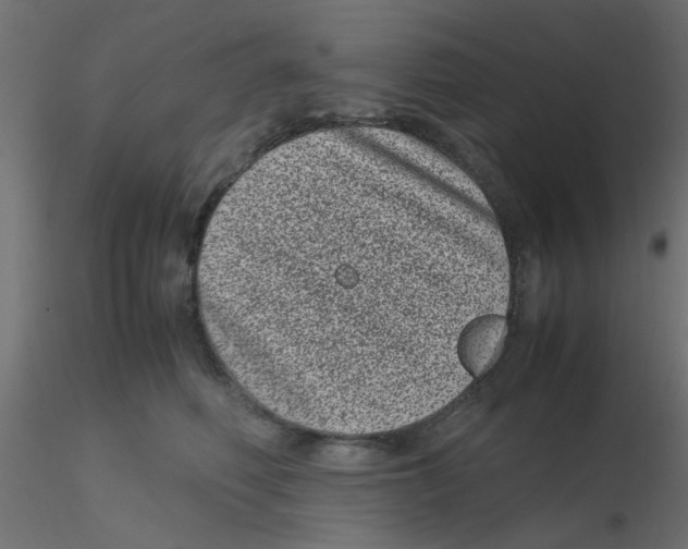 X0000116600614200912312058