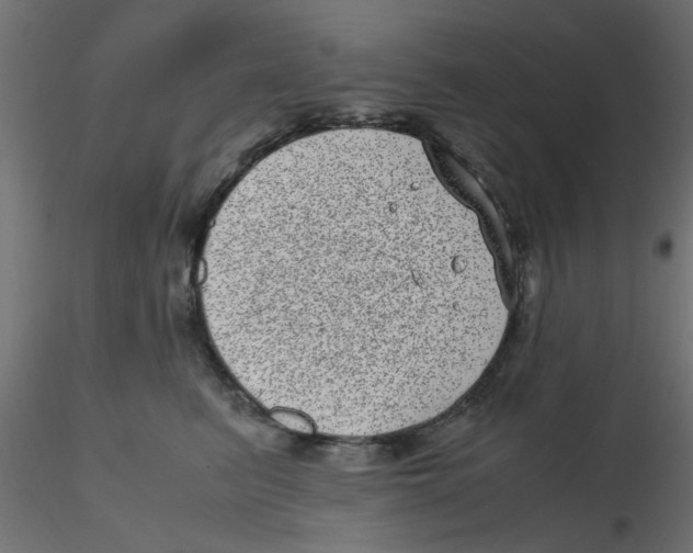 X0000116600615200912312058