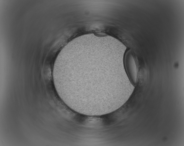 X0000116600617200912312058