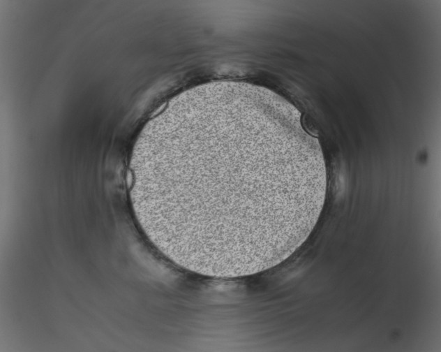 X0000116600619200912312058