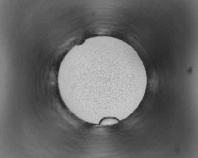 X0000116600620200912312058