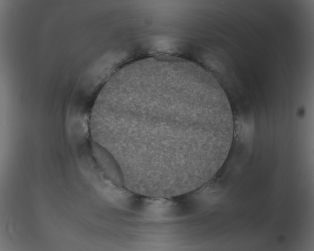 X0000116600621200912312058