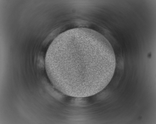 X0000116600622200912312058