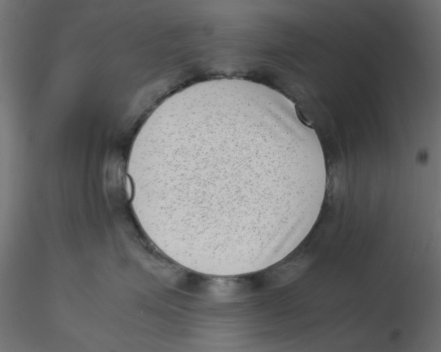 X0000116600623200912312058