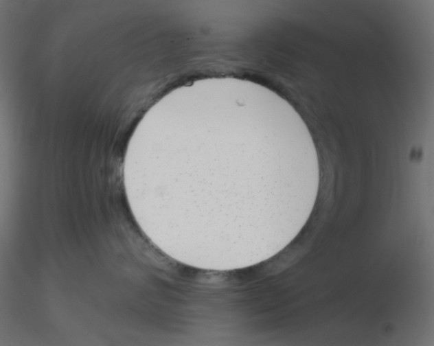 X0000116600624200912312058