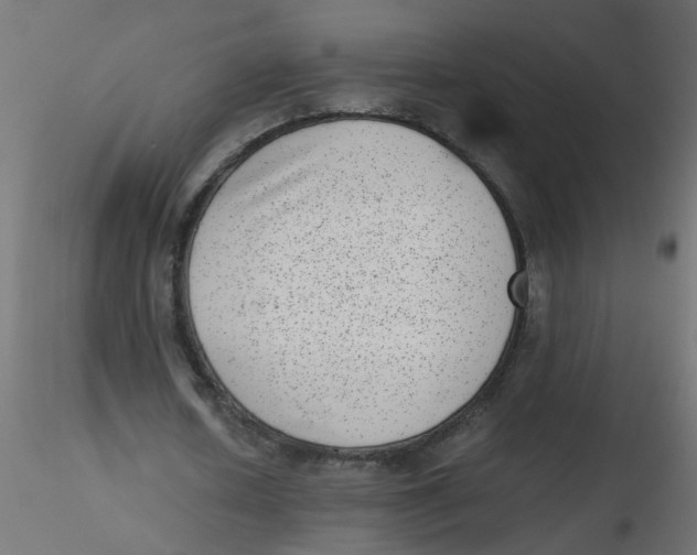 X0000116600626200912312057