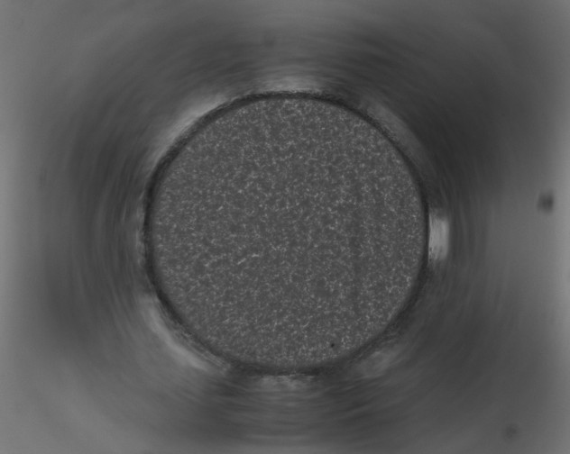 X0000116600627200912312057