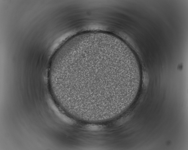 X0000116600629200912312057