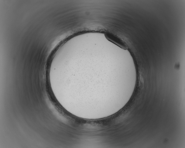 X0000116600630200912312057