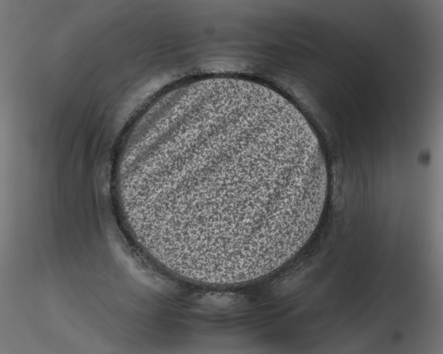 X0000116600631200912312057