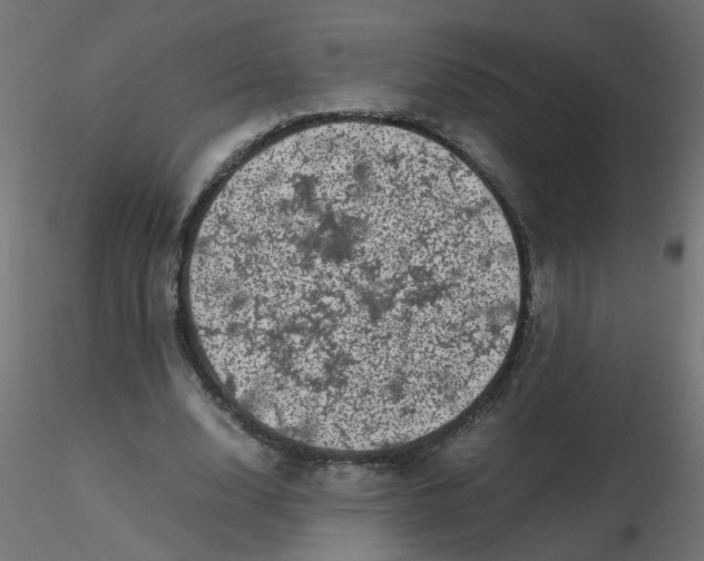 X0000116600632200912312058