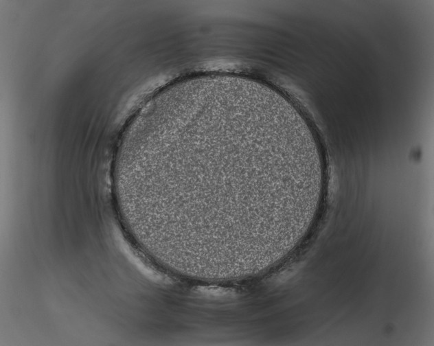 X0000116600633200912312058