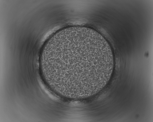 X0000116600634200912312058