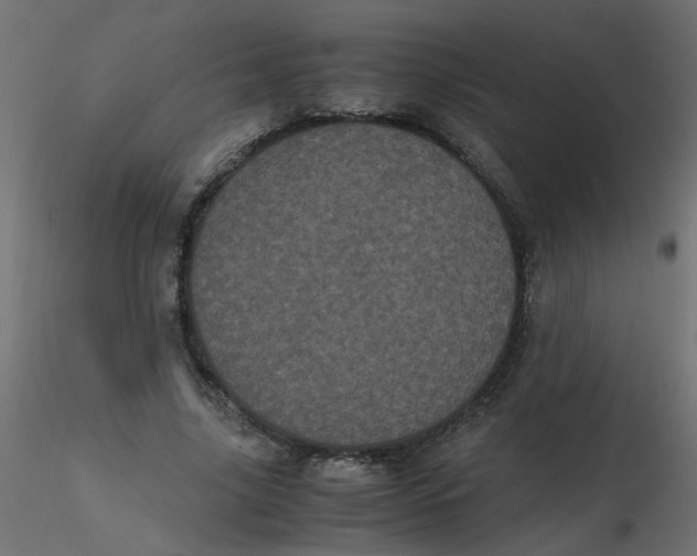 X0000116600635200912312058