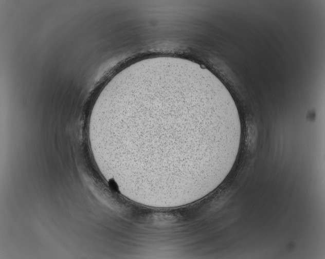 X0000116600636200912312058