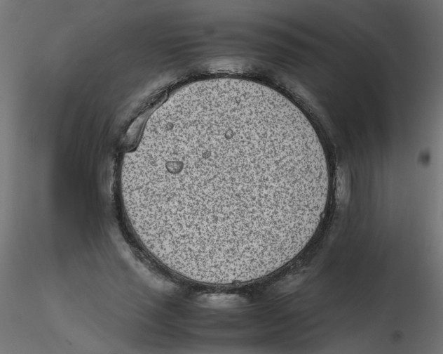 X0000116600637200912312058