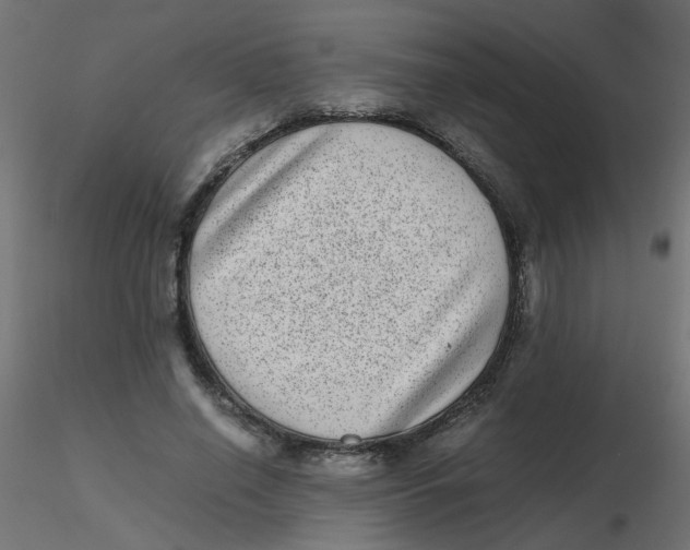 X0000116600638200912312058