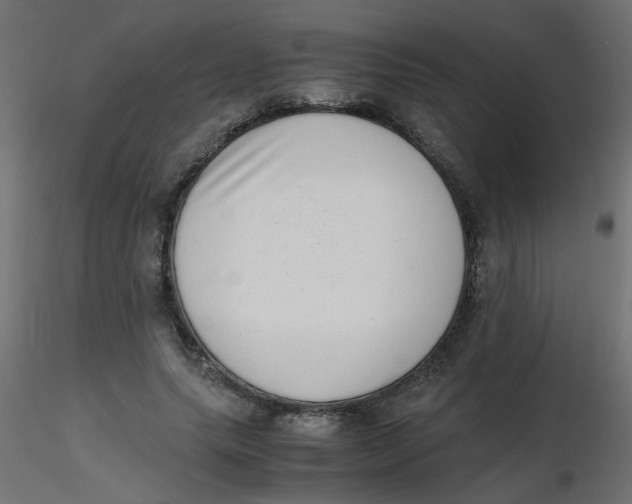 X0000116600639200912312058