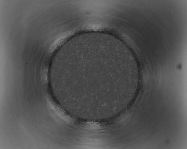 X0000116600640200912312058