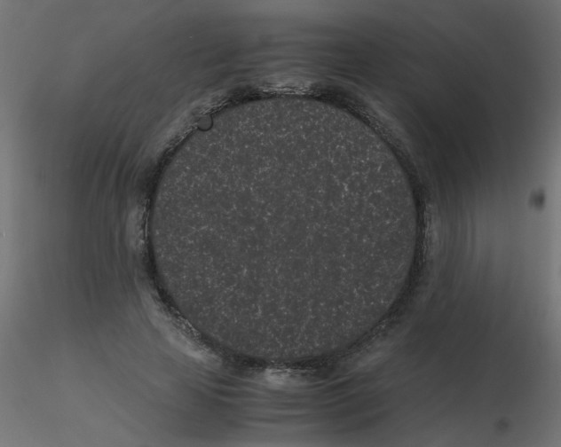 X0000116600641200912312058