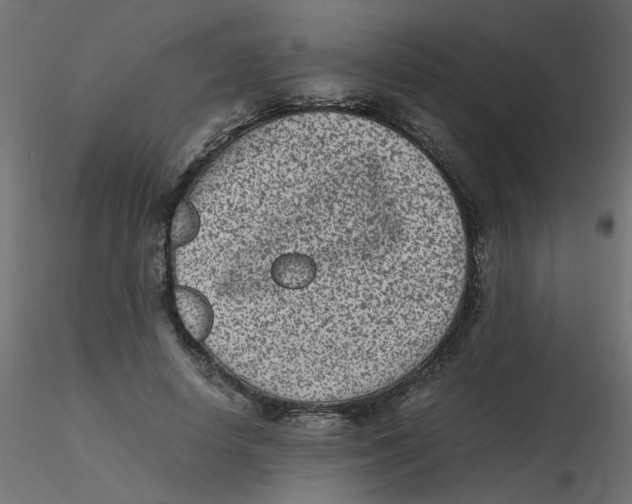 X0000116600642200912312058