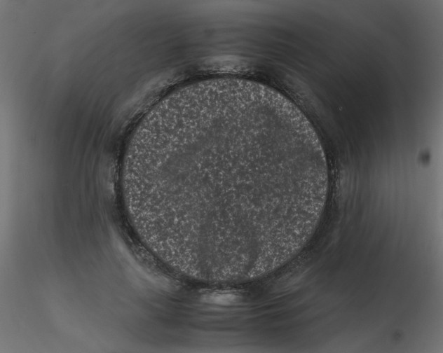 X0000116600643200912312058