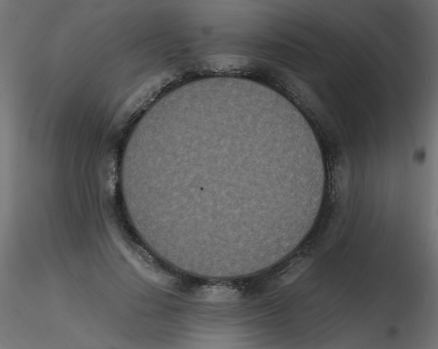 X0000116600644200912312058