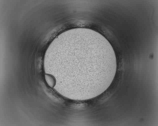 X0000116600646200912312058